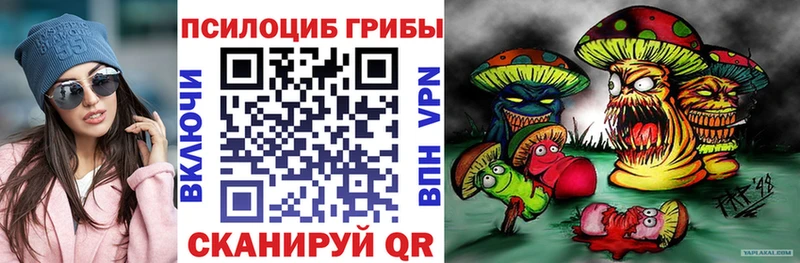 Псилоцибиновые грибы мицелий  Белгород 